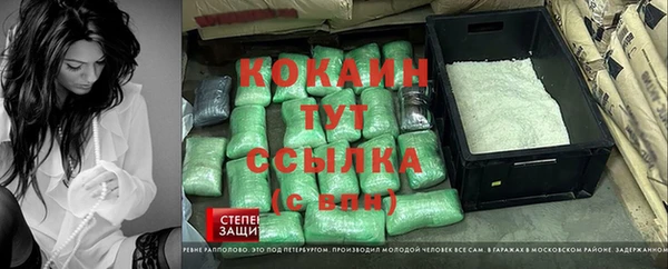 сатива Зеленодольск
