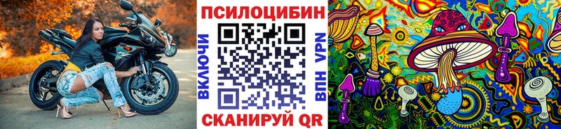 Купить закладки  Щёлкино  Псилоцибиновые грибы GOLDEN TEACHER 